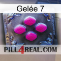 Gelée 7 02